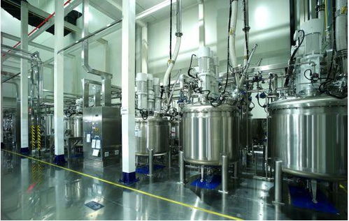 探访蜂巢能源工厂 揭秘短刀电池生产的三大核心秘籍